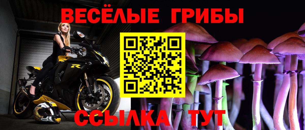 Гатчина  Псилоцибиновые грибы мухоморы  Псилоцибиновые грибы Cubensis  Вход с VPN 